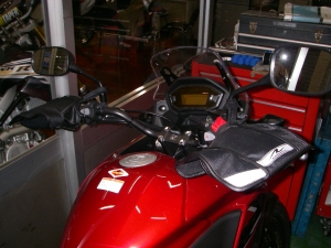 IMGP5811.jpg