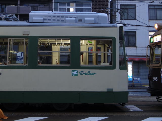 DSC00460 (1)0001