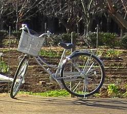 マイ自転車
