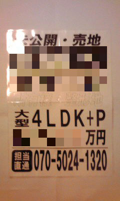 231_copy.jpg
