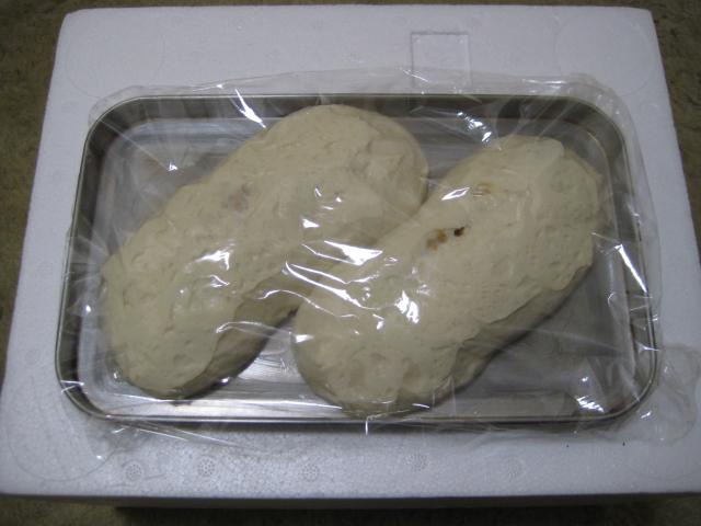 イチジク・ベンチ
