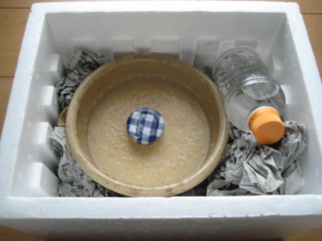 酒母グルト25BY完成