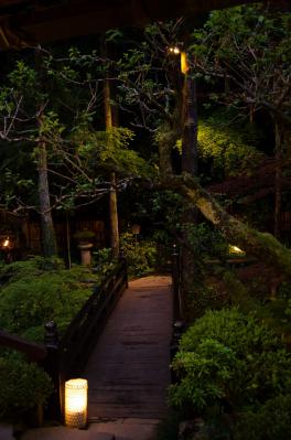 ukai02