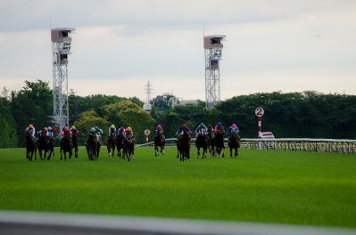 20120-06-10_tokyou02