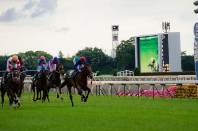 20120-06-10_tokyou03