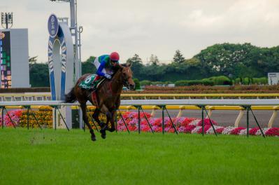 20120-06-10_tokyou04