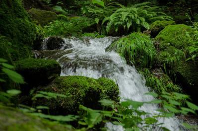 20120623-06