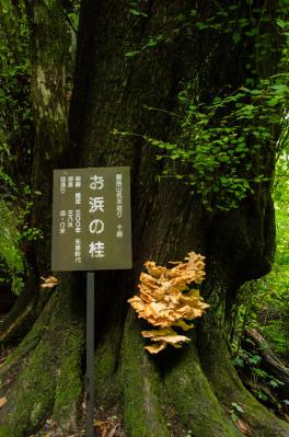 20120623-07