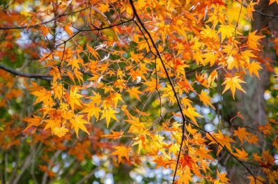 s-DSC_3627.jpg