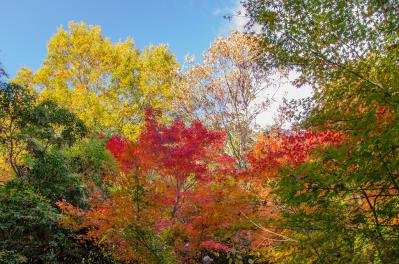s-DSC_3628.jpg