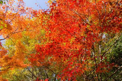 s-DSC_3637.jpg