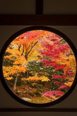 s-DSC_3665.jpg