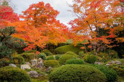 s-DSC_3725.jpg