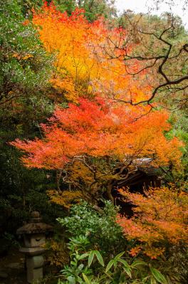 s-DSC_3867.jpg