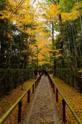 s-DSC_3953.jpg