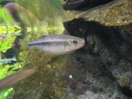IMG_2862.jpg