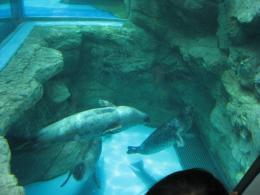 IMG_2885.jpg