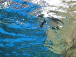 IMG_2890.jpg