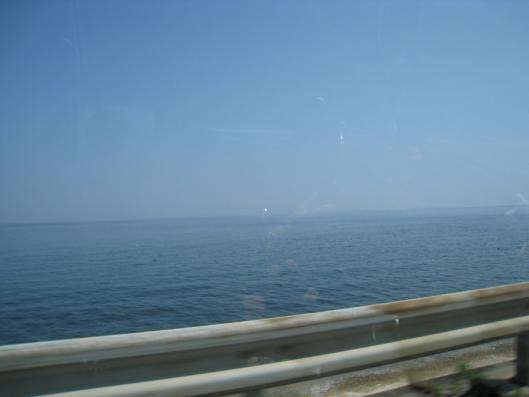IMG_3023.jpg