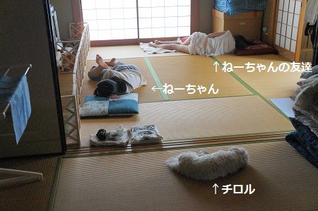 DSC02063 (1)