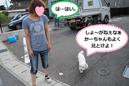 DSC03938 (1)