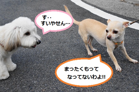 DSC03964 (1)1