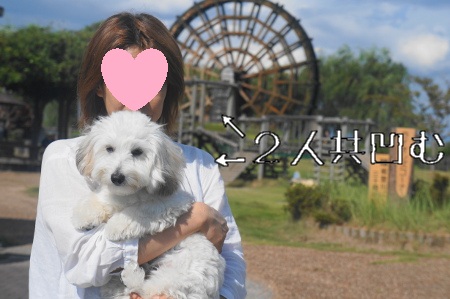 DSC03992 (1)1