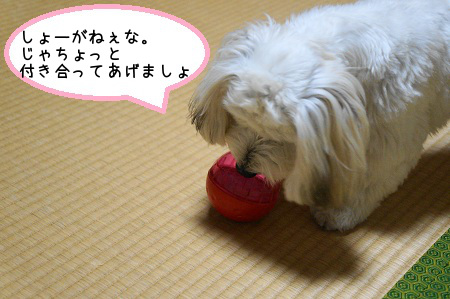 DSC05445 (1)