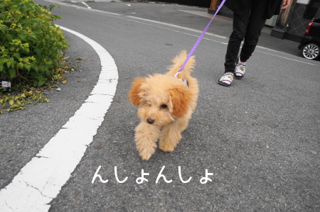 DSC09529 (1)