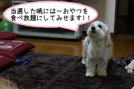 DSC00405 (1)1