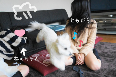 DSC00813 (1)