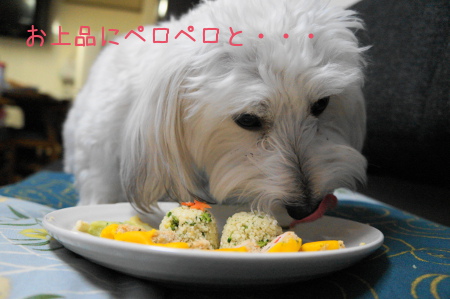 DSC02500 (1)