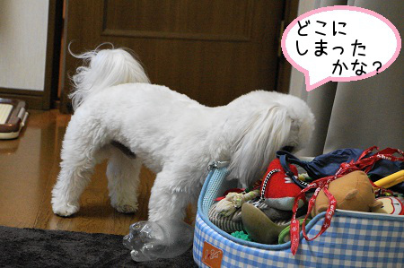 DSC03191 (1)