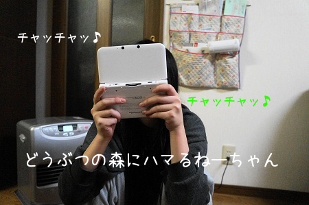 DSC03118 (1)