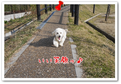 DSC09065 (1)