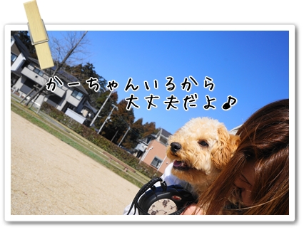DSC09694 (1)