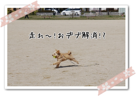DSC01208 (1)