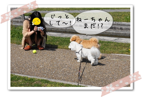 DSC01221 (1)