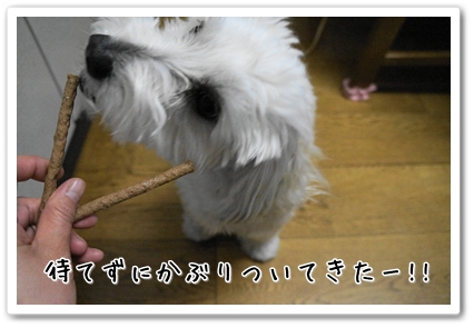 DSC02030 (1)