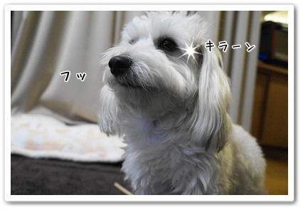 DSC02632 (1)