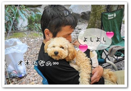 DSC03201 (1)