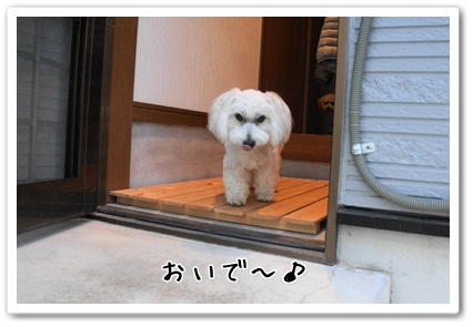 DSC03957 (1)