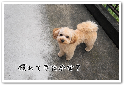 DSC04039 (1)