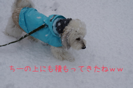 DSC01263.jpg