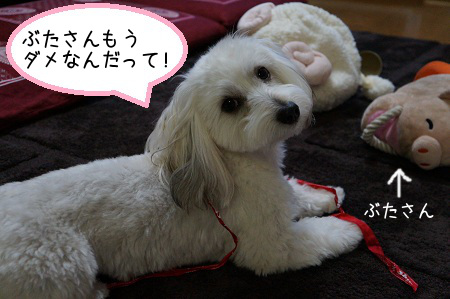 DSC03104.jpg