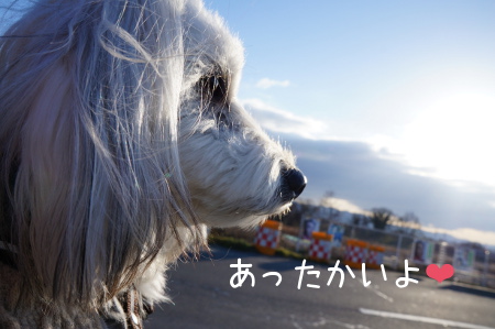 DSC03687.jpg