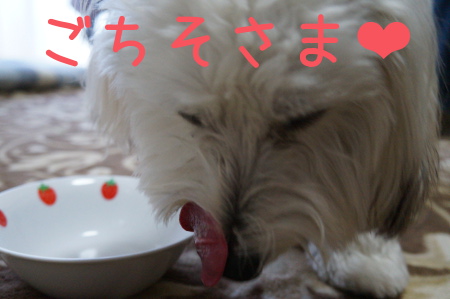 DSC06731.jpg