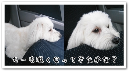 page2_20130423200703.jpg