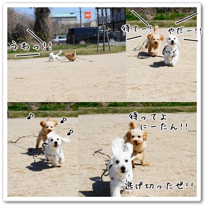 page3.jpg