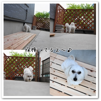 page5_20130520214934.jpg